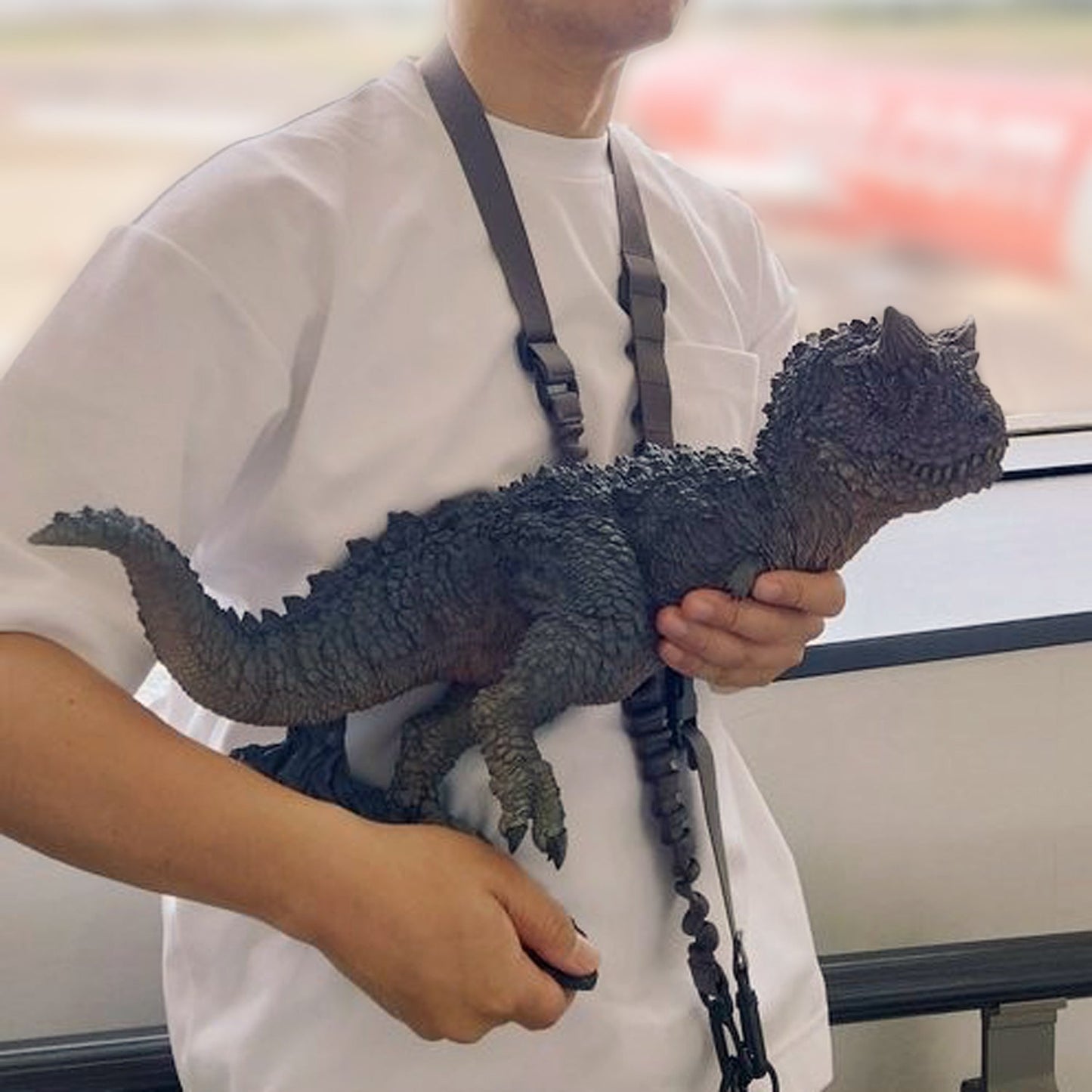 Carnotaurus Schwarz collectible scale model made of plastics by Tokyo Figure