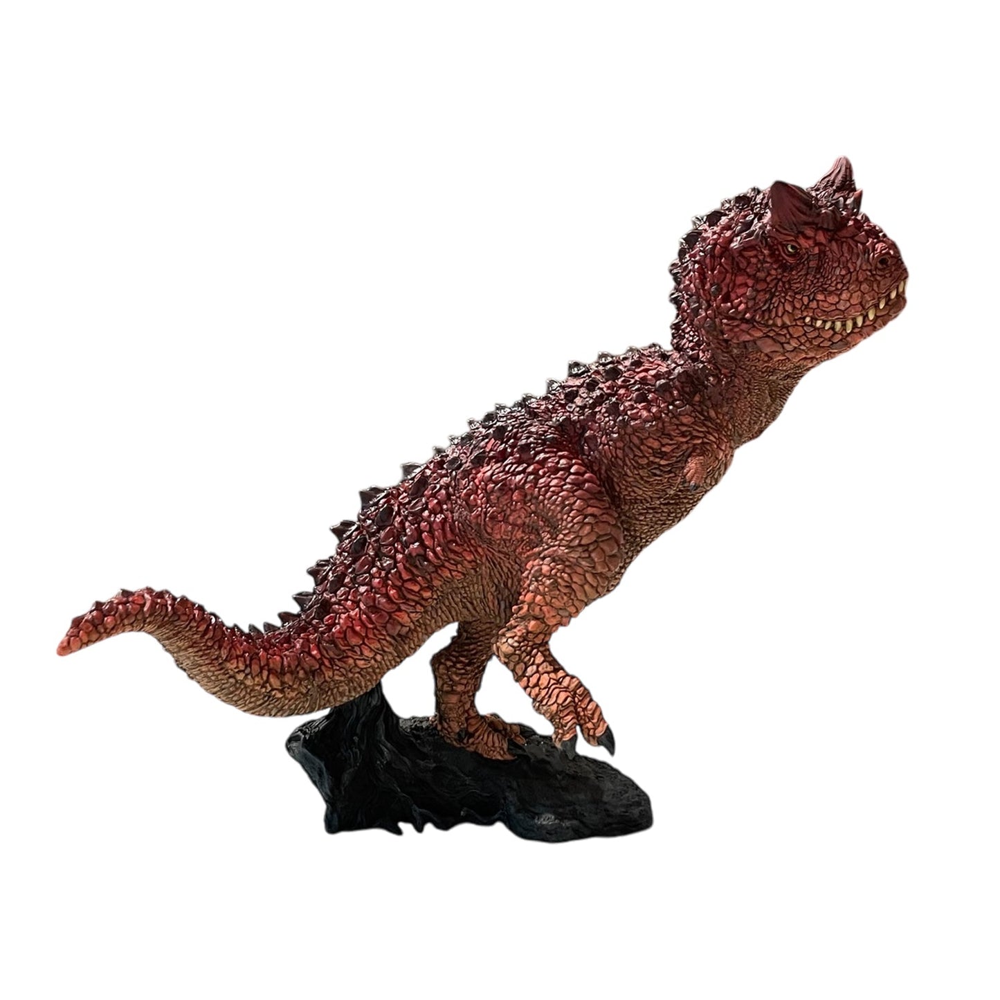 Carnotaurus Roth collectible scale model made of plastics by Tokyo Figure