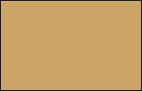 N27 Acrysion Color Tan Model Paint Khaki color 10 ml by Mr. Hobby