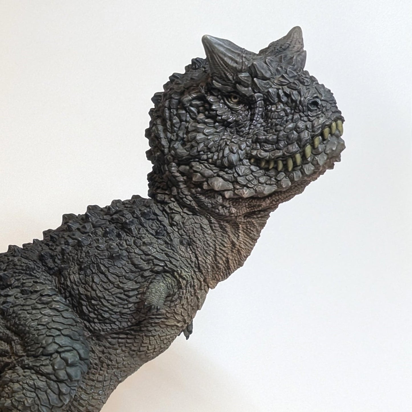 Carnotaurus Schwarz collectible scale model made of plastics by Tokyo Figure