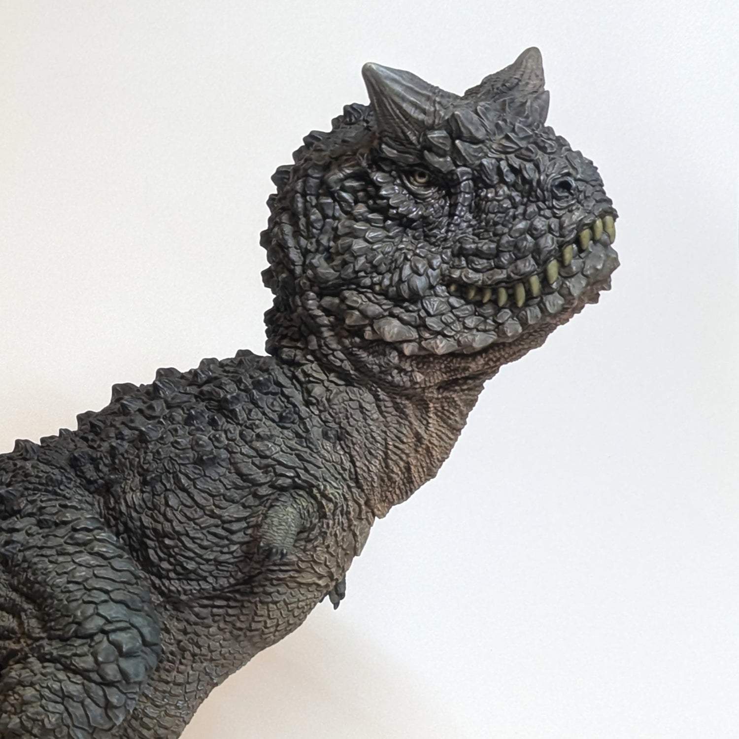 Carnotaurus Schwarz collectible scale model made of plastics by Tokyo Figure
