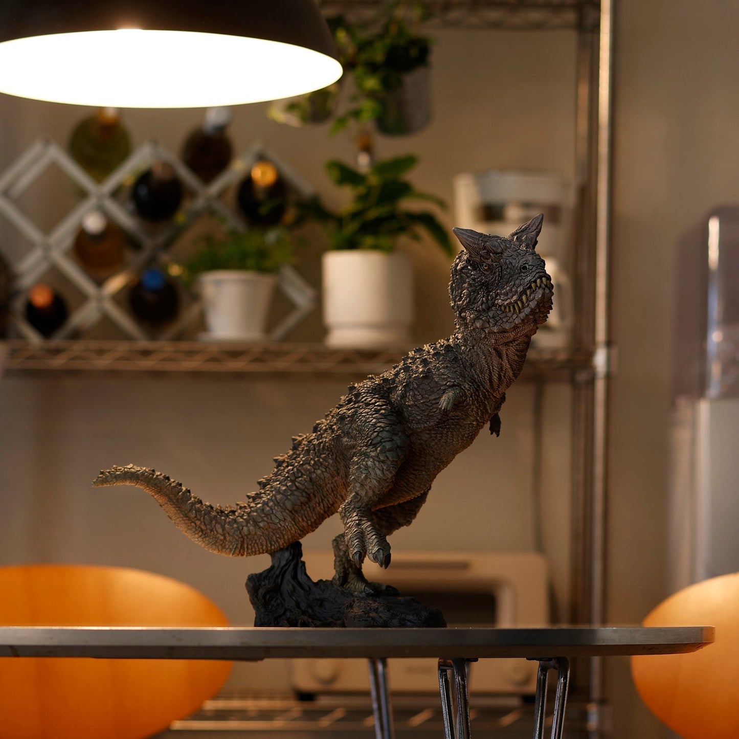 Carnotaurus Schwarz collectible scale model made of plastics by Tokyo Figure