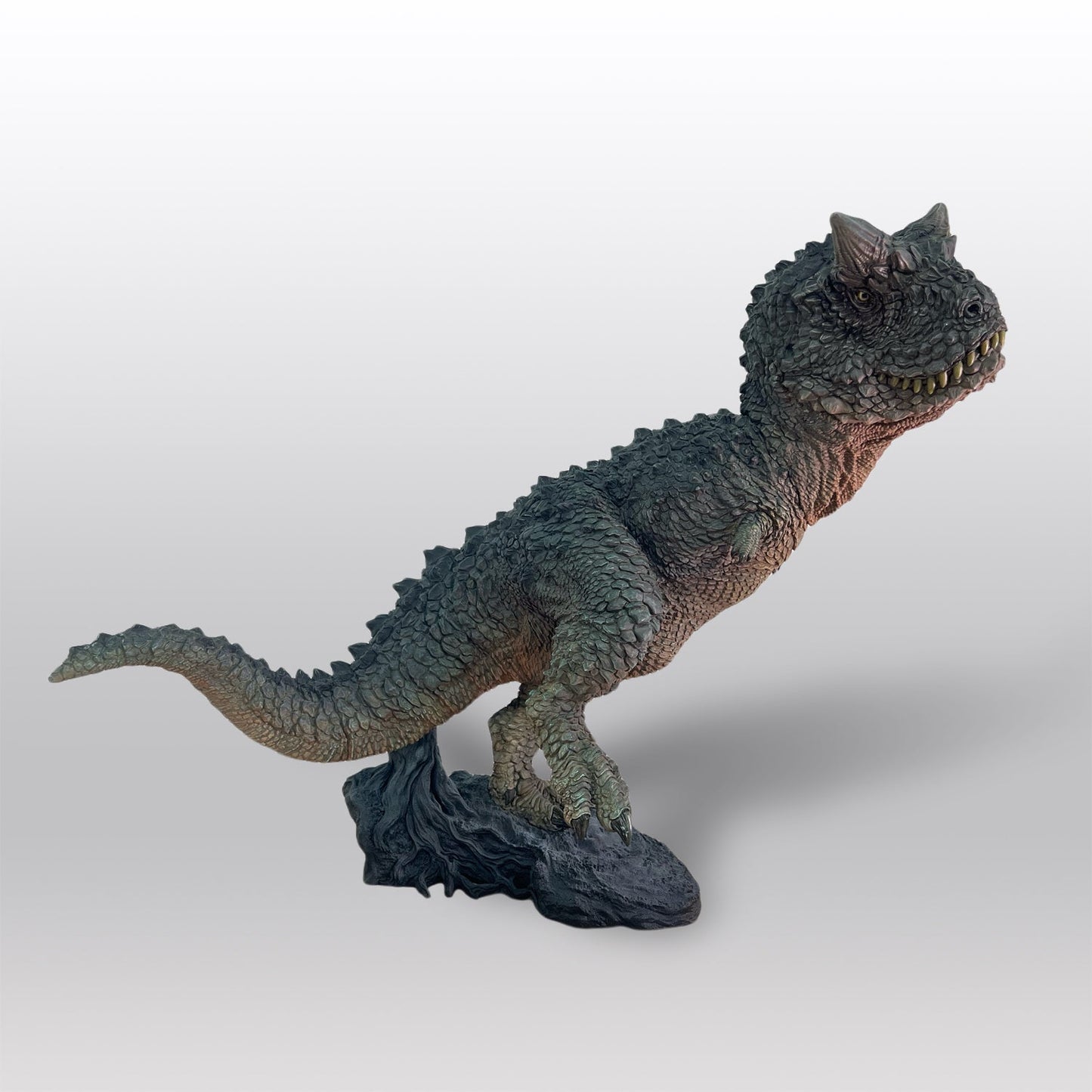Carnotaurus Schwarz collectible scale model made of plastics by Tokyo Figure
