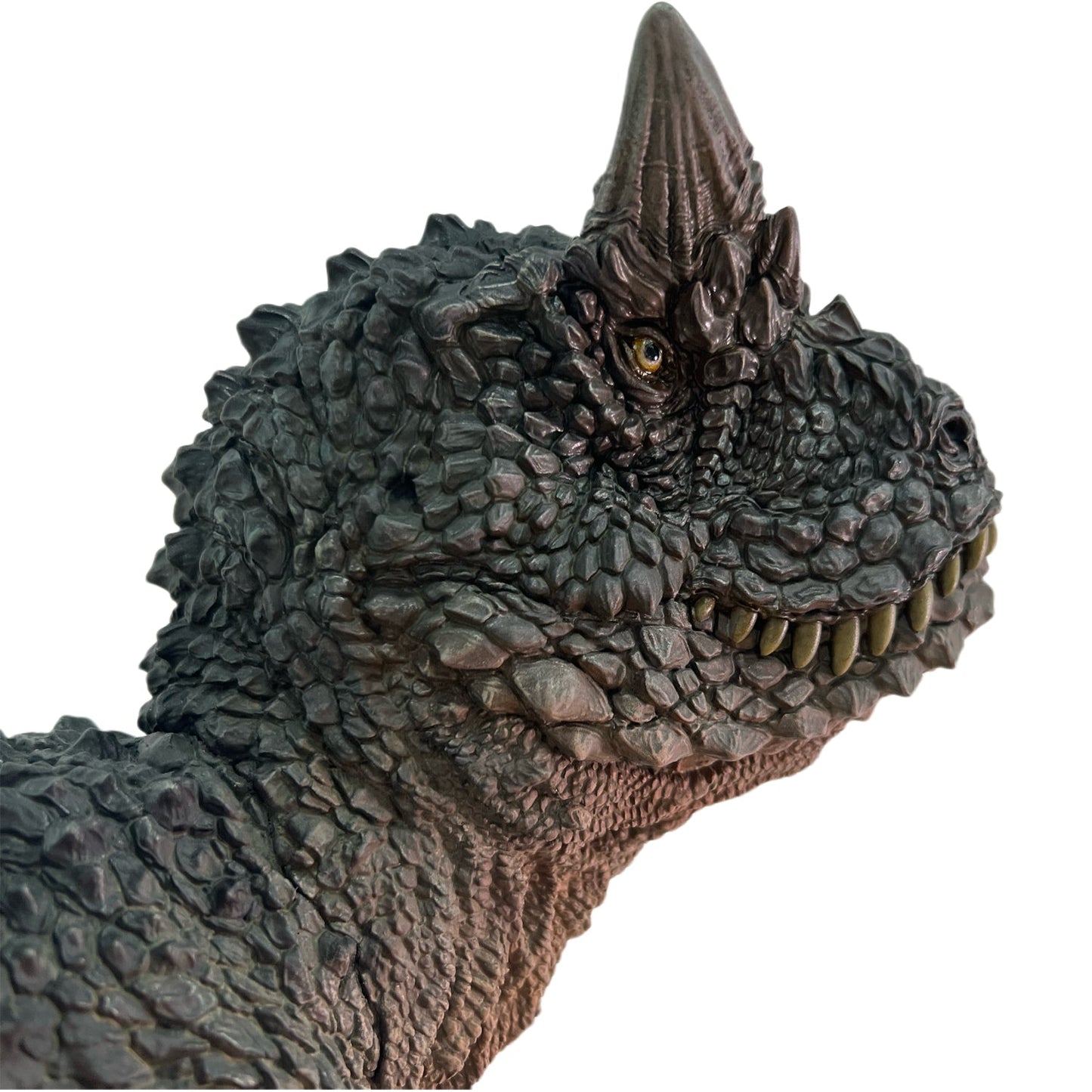 Carnotaurus Schwarz collectible scale model made of plastics by Tokyo Figure