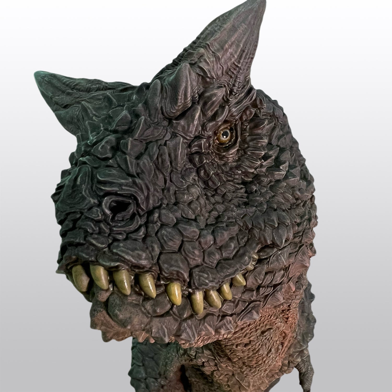 Carnotaurus Schwarz collectible scale model made of plastics by Tokyo Figure
