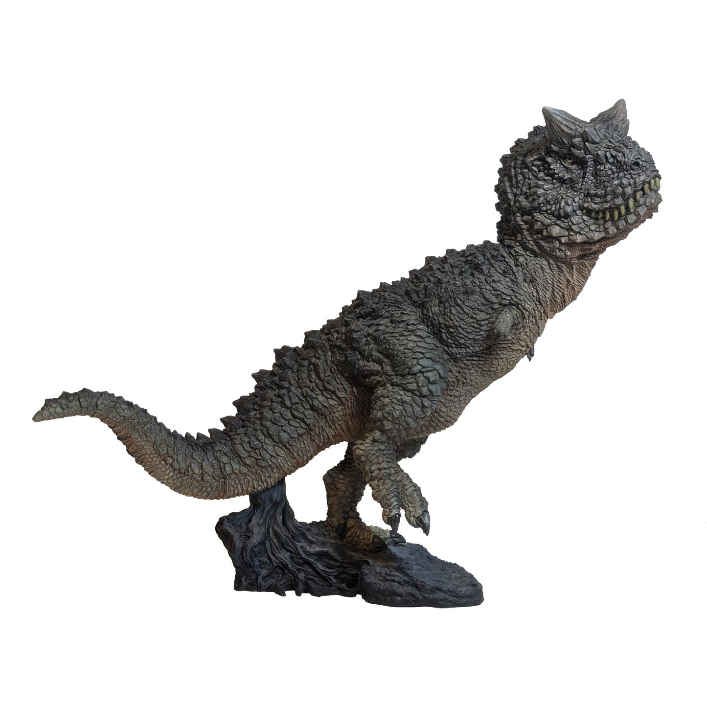 Carnotaurus Schwarz collectible scale model made of plastics by Tokyo Figure