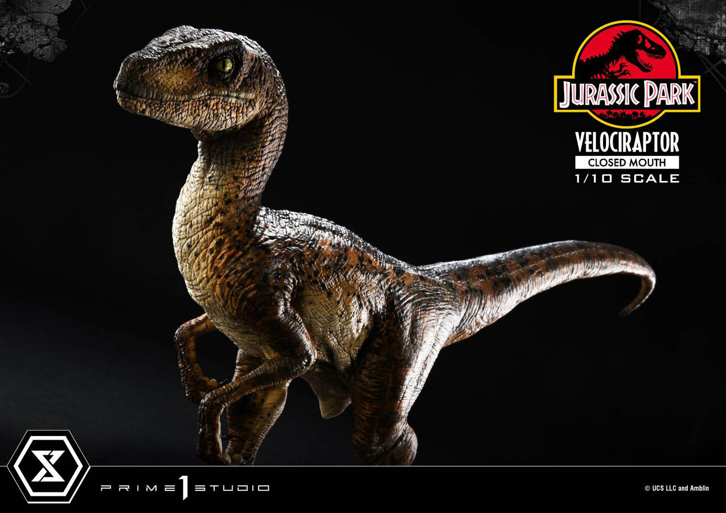 Prime Collectible Figure Velociraptor Closed Mouth collectible scale model made of plastics by Tokyo Figure
